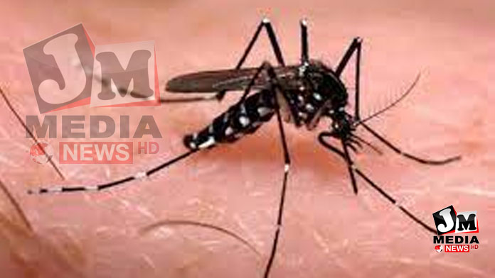 அதிகரிக்கும் டெங்கு நோயாளர்கள்