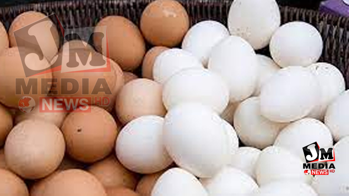 இன்று முதல் முட்டை விலை குறைப்பு!