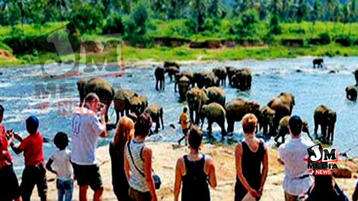 சுற்றுலாத் துறையை உருவாக்க இளைஞர்களின் பங்கை நிராகரிக்க முடியாது