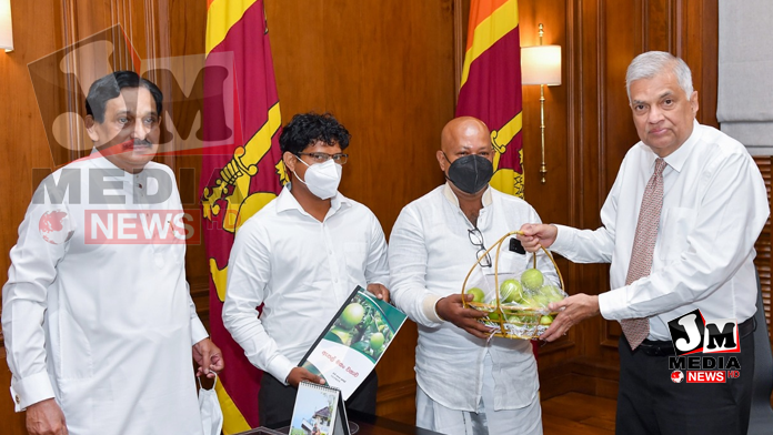 இலங்கையில் உற்பத்தி செய்யப்படும் பச்சை நிற ஆப்பிள் பழத்தின் முதல் அறுவடை ஜனாதிபதியிடம் கையளிப்பு!