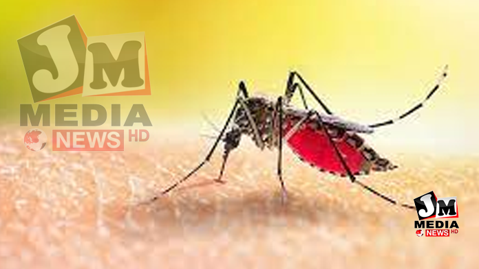 4 மடங்காக அதிகரித்த நுளம்பு பெருக்கம்!