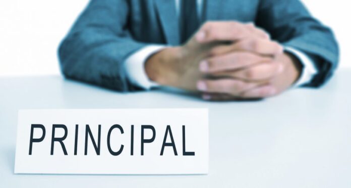 principal-810x435