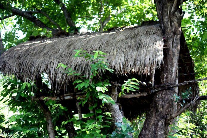 Tree_house_of_farmer_-_Sri_Lanka