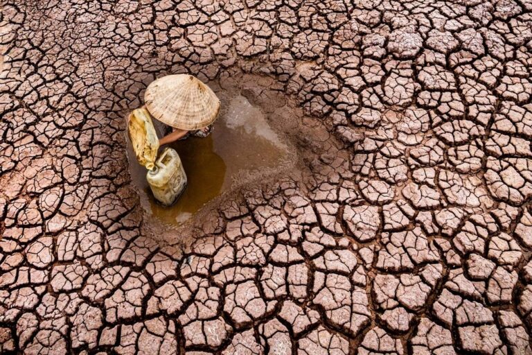 முற்றாக வற்றிப்போகும் அபாயத்தில் நீர் நிலைகள்! மக்களுக்கு எச்சரிக்கை
