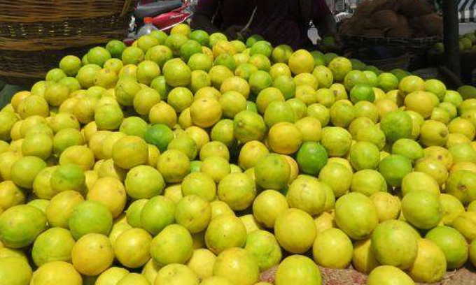 அதிவுயர் விலைக்கு விற்பனையாகும் தேசிக்காய் l எவ்வளவு தெரியுமா?