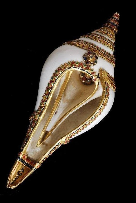 அரிய வகை வலம்புரி சங்குடன் இளைஞர் கைது