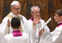 14ஆம் லியோ புதிய பாப்பரசராக பதவியேற்றார்