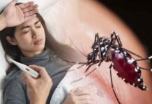 மேல் மாகாணத்தில் அதிகரித்துவரும் சிக்குன்குன்யா!