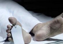 சீகிரியாவில் சோகம்: வெளிநாட்டவரை மிதித்துக் கொன்ற யானை!