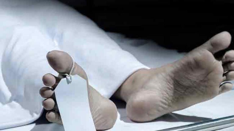 சீகிரியாவில் சோகம்: வெளிநாட்டவரை மிதித்துக் கொன்ற யானை!