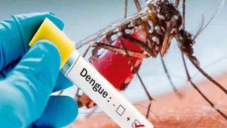 தீவிரமடையும் டெங்கு: 2 நாட்களுக்கு மேல் காய்ச்சல் இருந்தால் கவனம்!